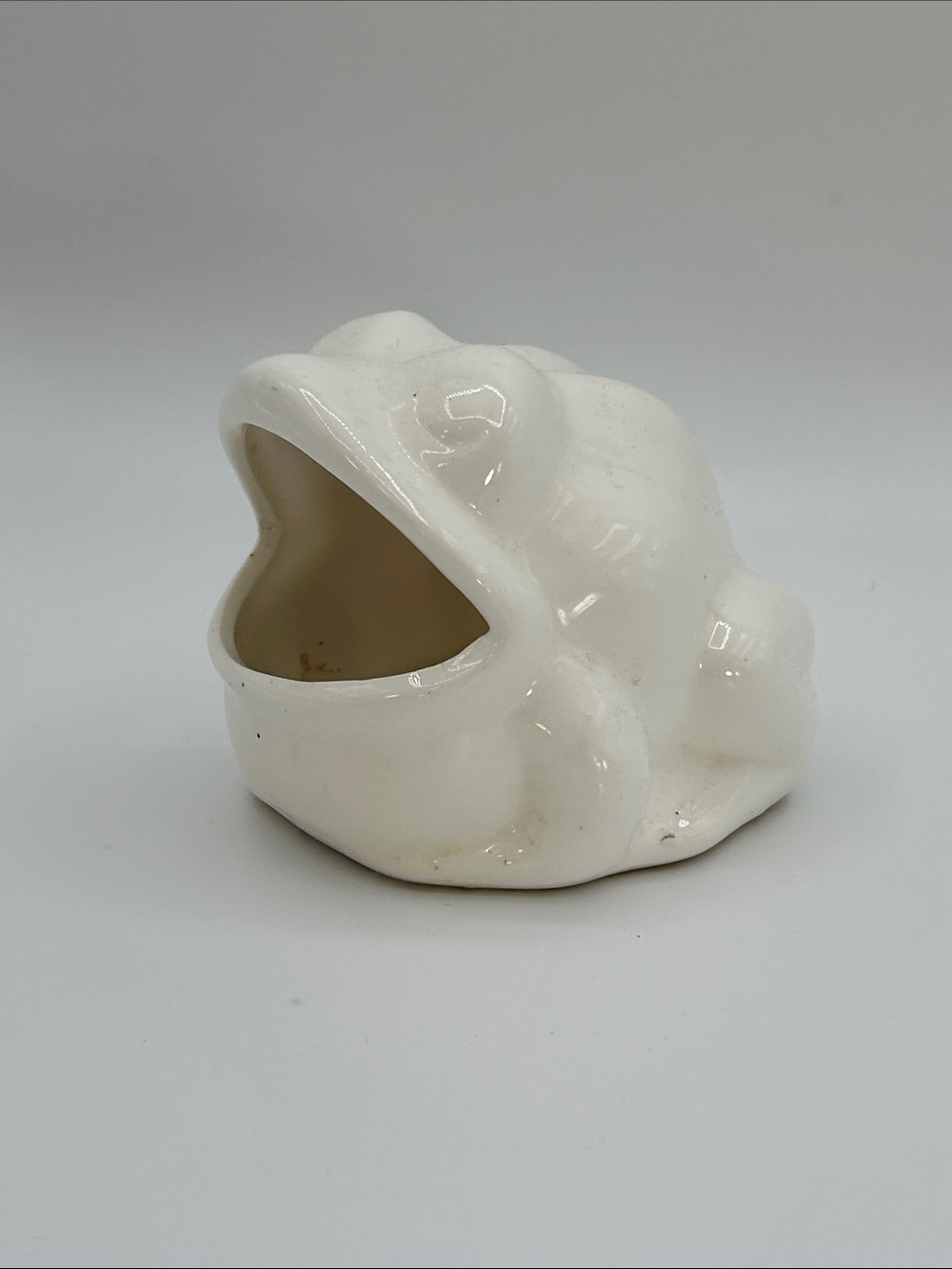 Vintage Ceramic Frog Kitchen Sponge Holder Retro Kitchen Decor White Cream